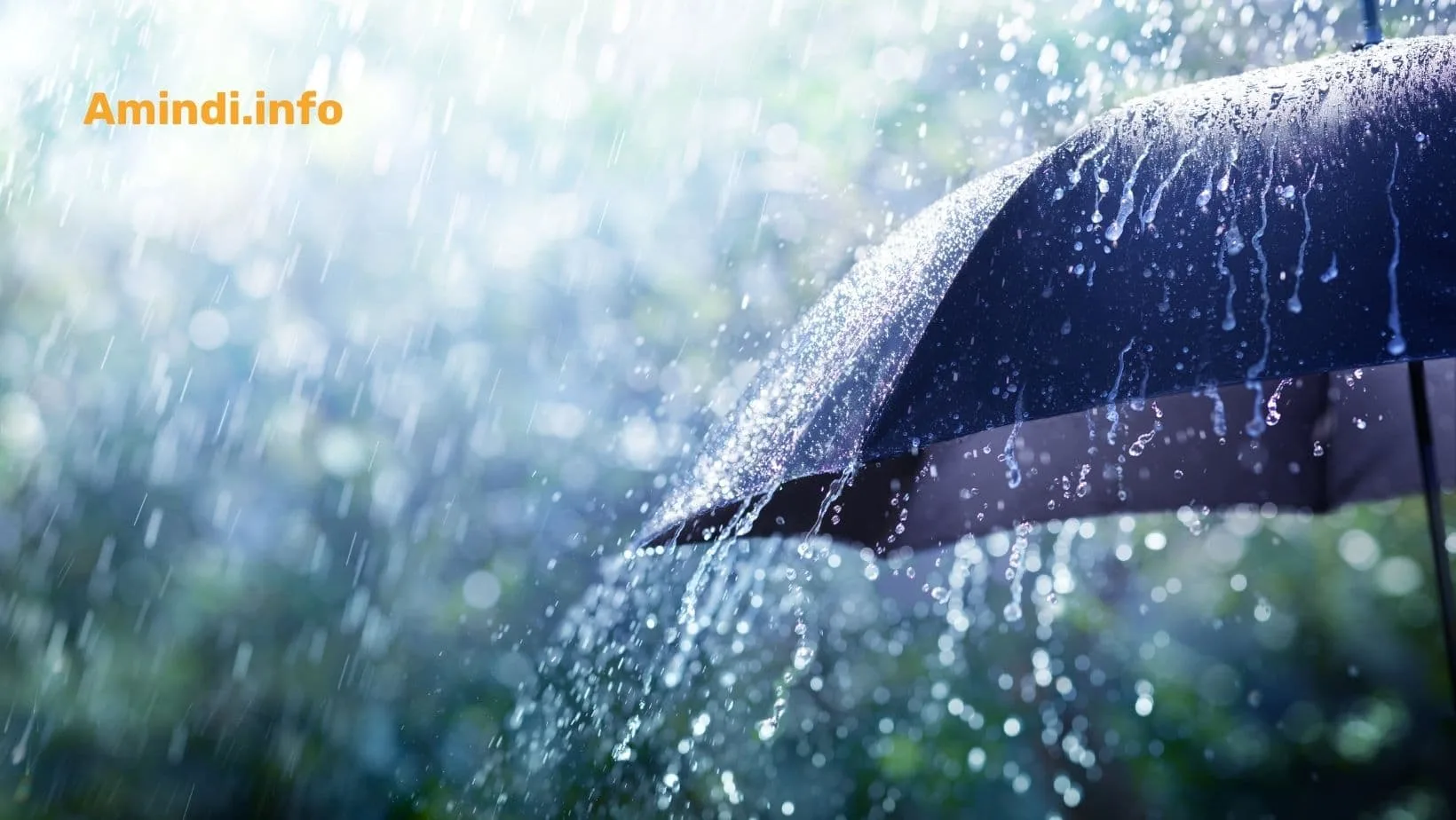 ამინდი საქართველოში